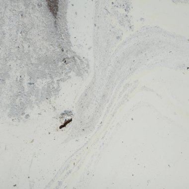 Dökülen beyaz sıvının yüzeyinde leke ve enkaz var. Soyut doku.