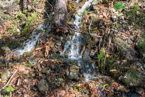 Paisagem Primavera Riacho Que Desce Das Montanhas — Fotografia de Stock