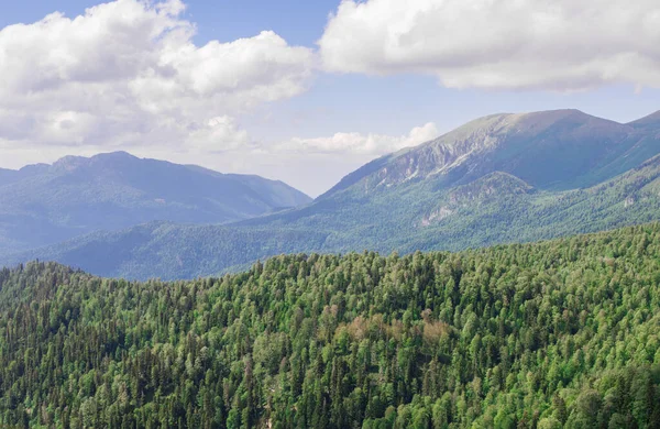 Naturalny Krajobraz Górski Las — Zdjęcie stockowe