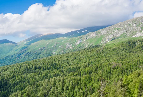 Φυσικό Τοπίο Βουνά Και Δάσος Κάτω Από Ένα Συννεφιασμένο Ουρανό — Φωτογραφία Αρχείου