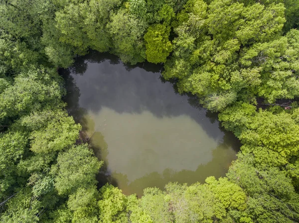 Vista Aérea Superior Del Lago Del Bosque Fangoso Drone Fotos —  Fotos de Stock