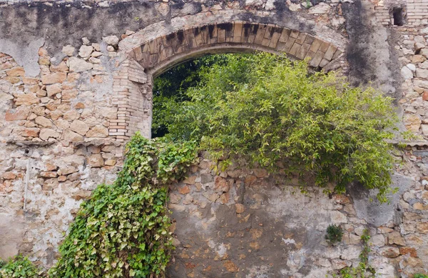 Der Alten Steinmauer Leere Fenster Mit Pflanzen Überwuchert — Stockfoto