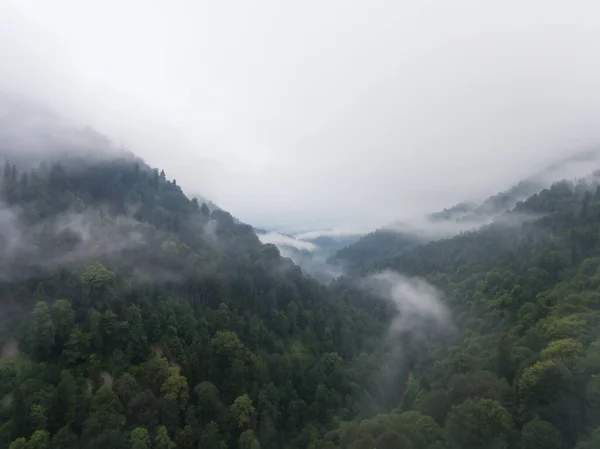 Vista Aérea Nevoeiro Matutino Sobre Floresta Montanha — Fotografia de Stock