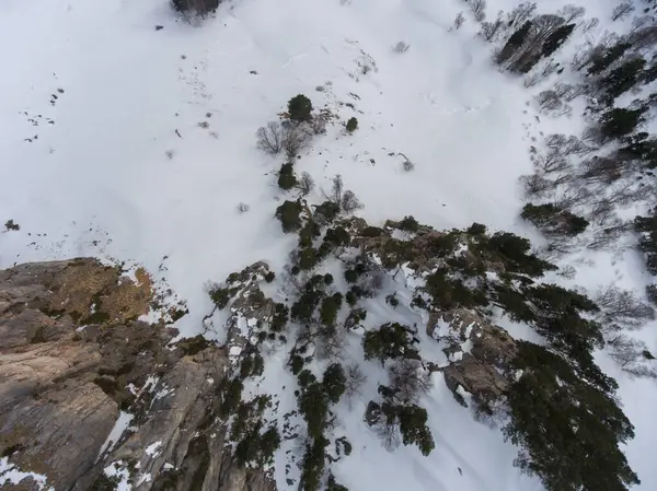 Hava Manzarası Drone Fotoğrafı Kayalık Plato Karla Kaplı Orman Üst — Stok fotoğraf