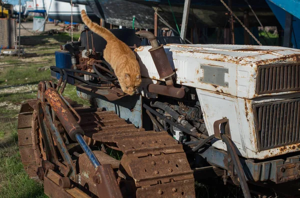Red Gato Vadio Bulldozer Abandonado Enferrujado — Fotografia de Stock
