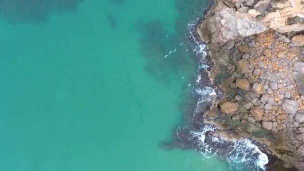 Vista Superior Una Bandada Aves Volando Cerca Costa Rocosa Del — Vídeo de stock