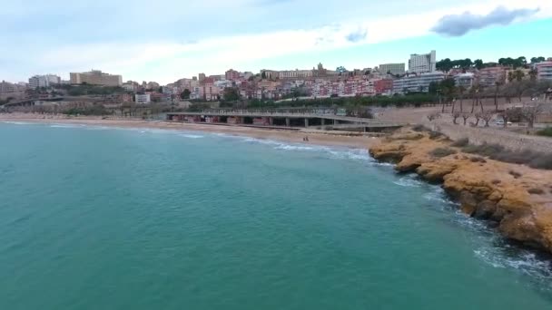 Vista Aérea Playa Tarragona Invierno Perro Paseando Por Playa — Vídeo de stock