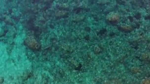 Luchtfoto Van Rotsblokken Ondiepe Middellandse Zee — Stockvideo