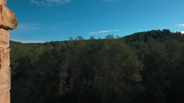 无人驾驶飞机穿过罗马渡槽的拱门 — 图库视频影像