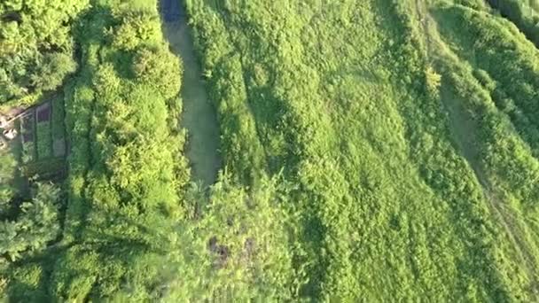 Hendek Yeşil Çamurla Kaplandı Hava Görünümü — Stok video