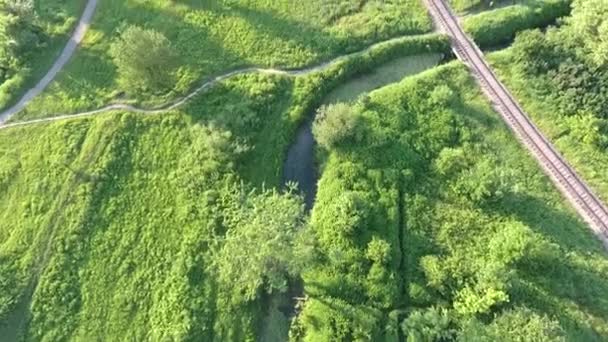Yeşillikler Arasındaki Kırsal Demiryolu Havadan Geliyor — Stok video