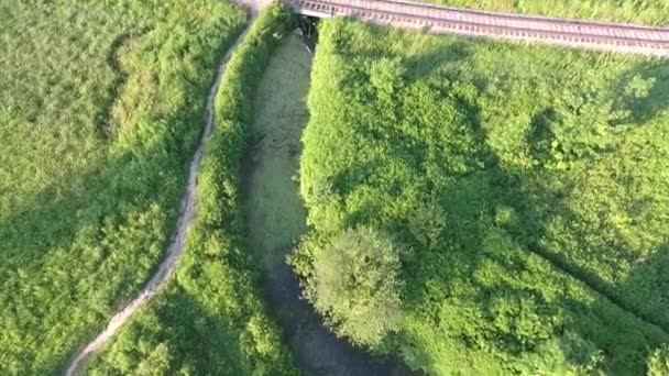 Ferrocarril Rural Entre Vegetación Solución Desde Aire — Vídeos de Stock