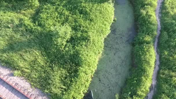 Hendek Yeşil Çamurla Kaplandı Hava Görünümü — Stok video