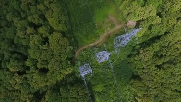 Hava Görüntüsü Yüksek Voltajlı Metal Direği Ormandaki Yüksek Voltajlı Kuleler — Stok video