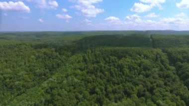 Hava görüntüsü. Yüksek voltajlı metal direği. Ormanda yüksek voltajlı kuleler.