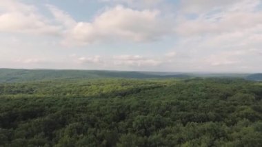 İnsansız hava aracının orman bölgesinde yükselişi..