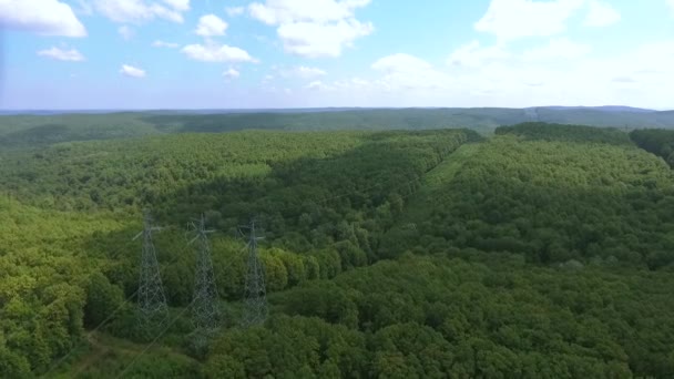 Hava Görüntüsü Yüksek Voltajlı Metal Direği Ormanda Yüksek Voltajlı Kuleler — Stok video
