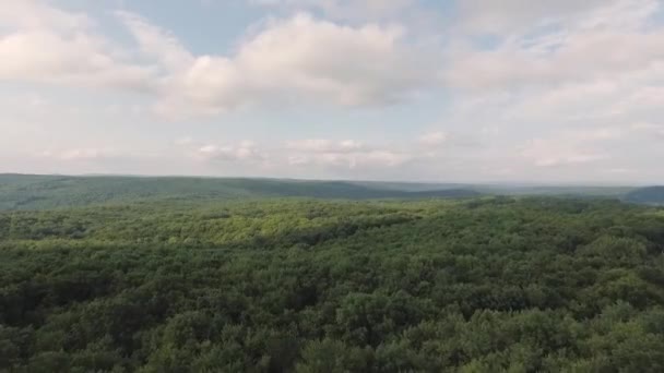 Ascensão Drone Sobre Área Floresta — Vídeo de Stock