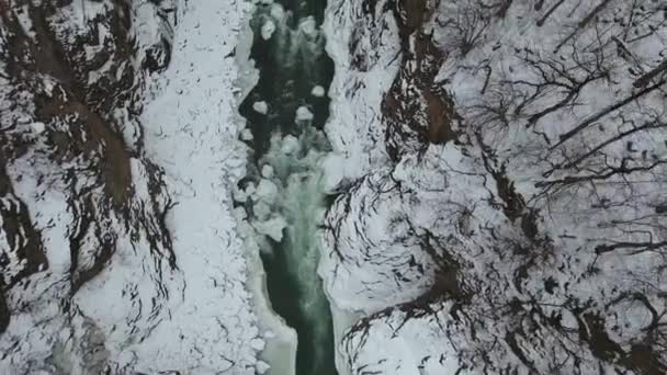 雪の森の中の高速渓流のトップビュー — ストック動画