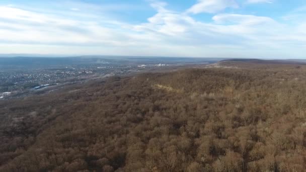 葉のない森に覆われた丘のふもとの農村部の町の空中ビュー ロシア — ストック動画
