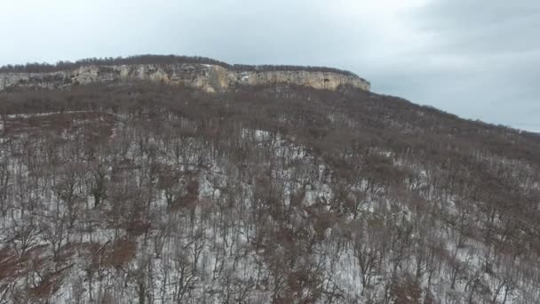 Vol Drone Long Pente Boisée Montagne Jusqu Plateau Rocheux — Video