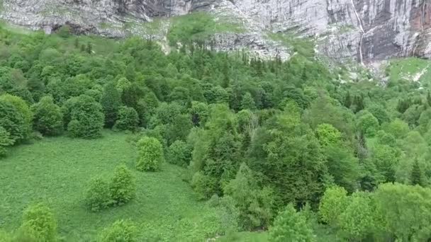 Flygfoto Över Skogen Vid Foten Stor Klippa Med Ett Vattenfall — Stockvideo