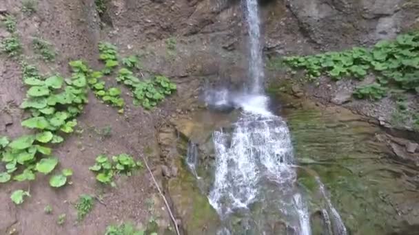 森林里美丽的长长的瀑布 空中景观 — 图库视频影像