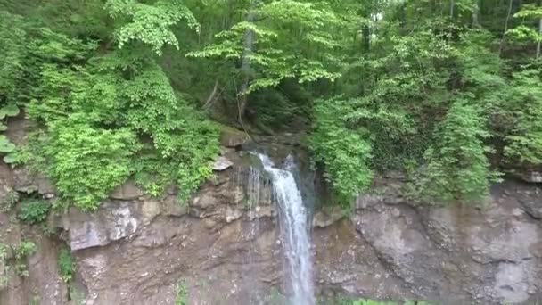 森の中の美しい長い滝 空中風景 — ストック動画