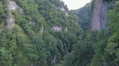 Ormanla kaplı güzel bir dağ geçidinde İHA uçuşu.