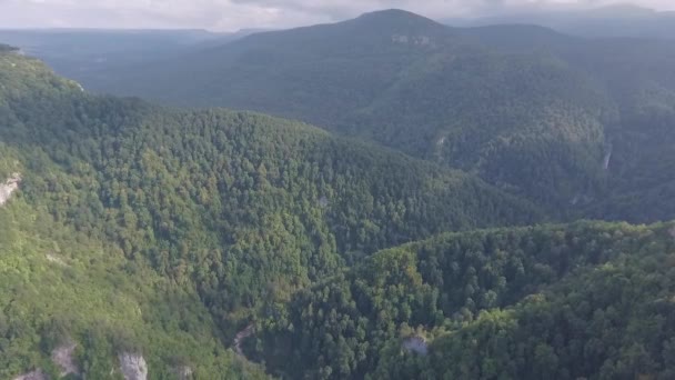 Paysage Panoramique Forêt Montagne Images Aériennes Drones — Video