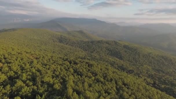 Flying Drone Tops Mountains Covered Forest Evening Natural Landscape — Stock Video