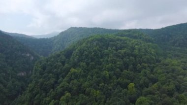 Hava görüntüsü. Dağın tepesi ağaçlarla kaplı. İlerliyorum..