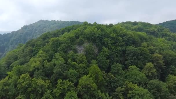 Vista Aérea Cima Montaña Está Cubierta Árboles — Vídeo de stock