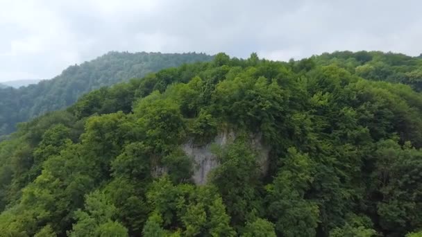 Вид Воздуха Вершина Холма Покрыта Деревьями — стоковое видео