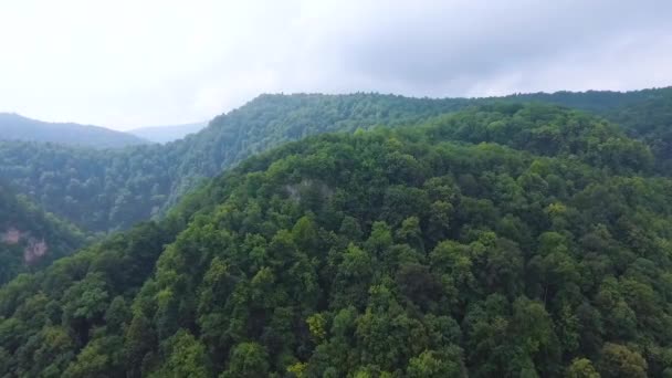 Luftaufnahme Der Gipfel Des Berges Ist Mit Bäumen Bewachsen Fortschritte — Stockvideo