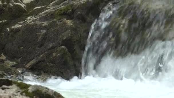 Les Rapides Une Rivière Montagne — Video