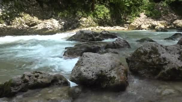 渓流の急流 — ストック動画