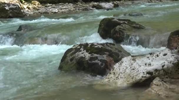 Ρυάκια Ενός Ορεινού Ποταμού — Αρχείο Βίντεο