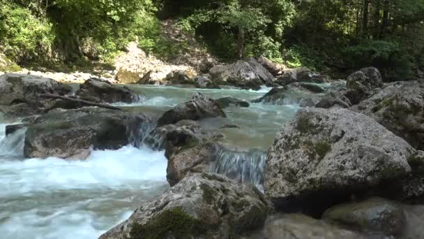 Rapidele Unui Râu Munte — Videoclip de stoc