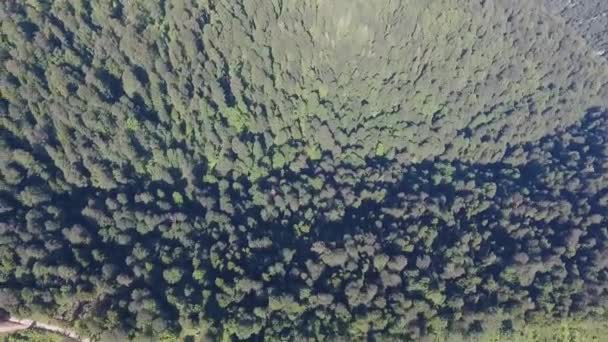 Vista Aérea Estrada Floresta Das Montanhas — Vídeo de Stock