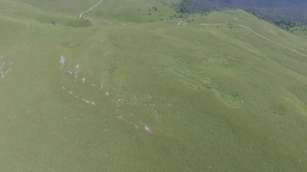 Filmagem Voo Sobre Prados Alpinos Nas Terras Altas — Vídeo de Stock