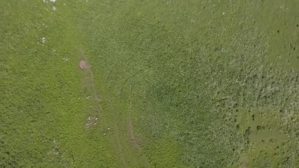 Летящий дрон над зеленой поверхностью холма . — стоковое видео