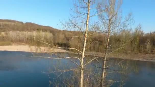 川の岸に裸の木 木の幹に沿った無人機の上昇 — ストック動画