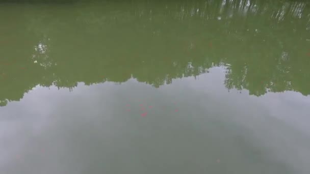 Πετώντας Drone Πάνω Από Την Επιφάνεια Του Νερού Μικρά Κόκκινα — Αρχείο Βίντεο