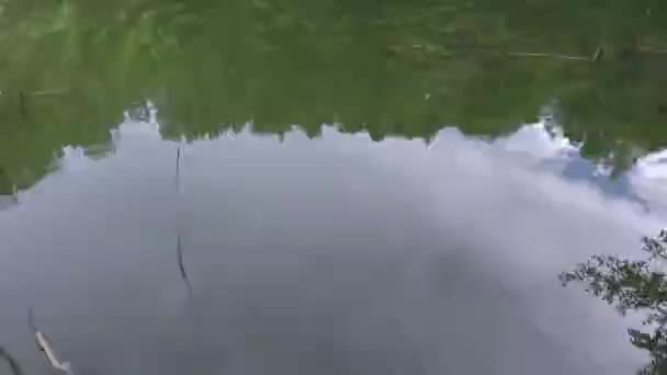 Drone Voador Sobre Superfície Água Pequeno Peixe Vermelho Lago — Vídeo de Stock