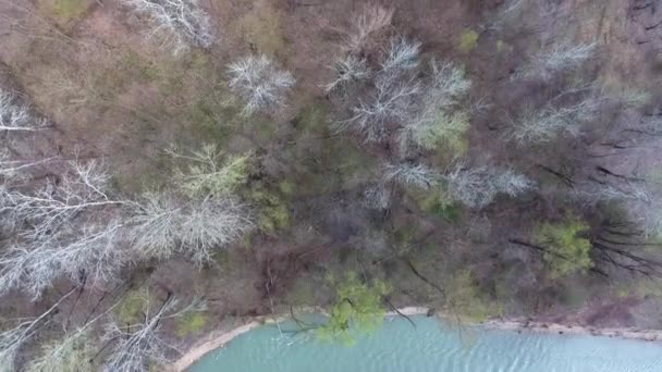 언덕에 나뭇잎 나무들을 공중에서 내려다본 — 비디오