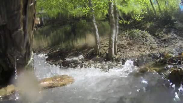Szybki Przepływ Topniejącej Wody Źródlanej — Wideo stockowe