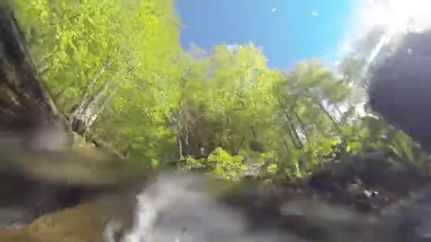 森林里的一条清澈的小河冲刷着浸入水中的摄像机 — 图库视频影像