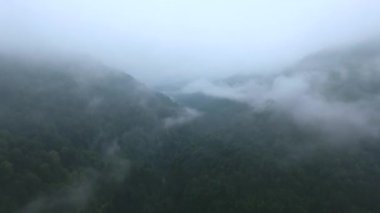 Yoğun ve gizemli bir dağ ormanının üzerindeki bulutlar. Hava görünümü.