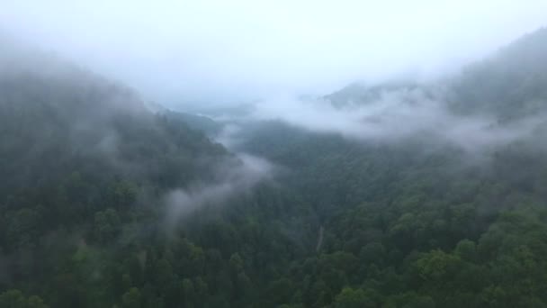 云彩笼罩着群山的森林 — 图库视频影像